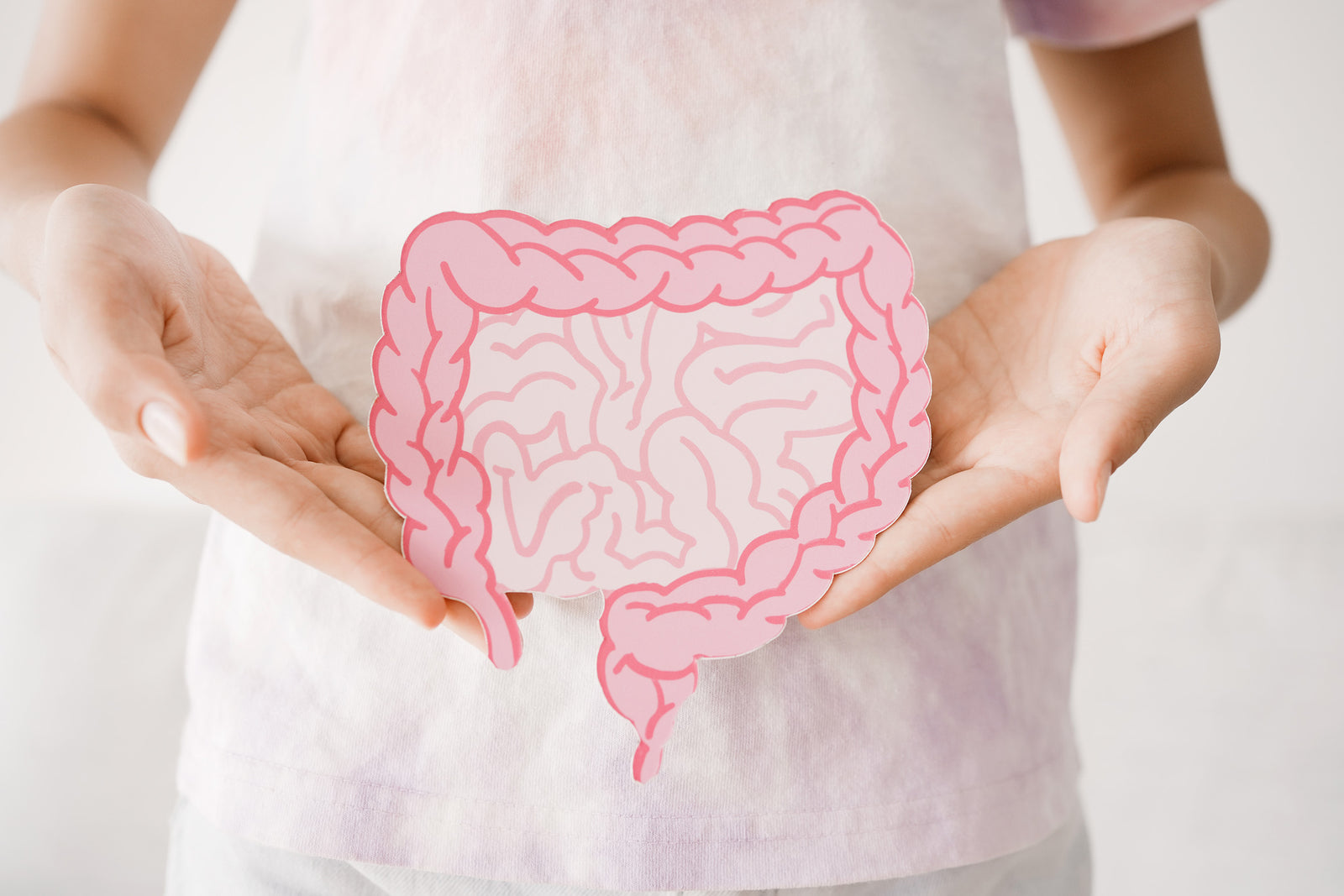 Lactoferrin supports gut health, balances intestinal flora and probiotic