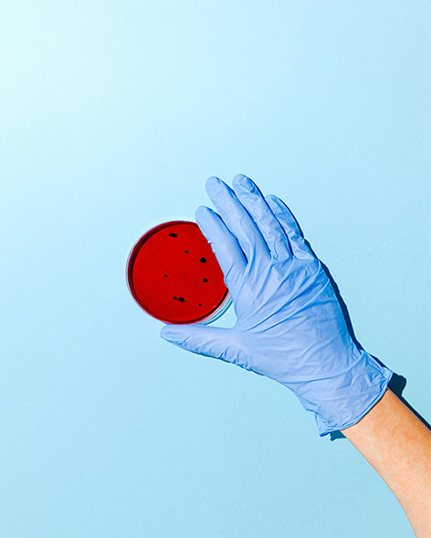 Lactoferrin antibacterial