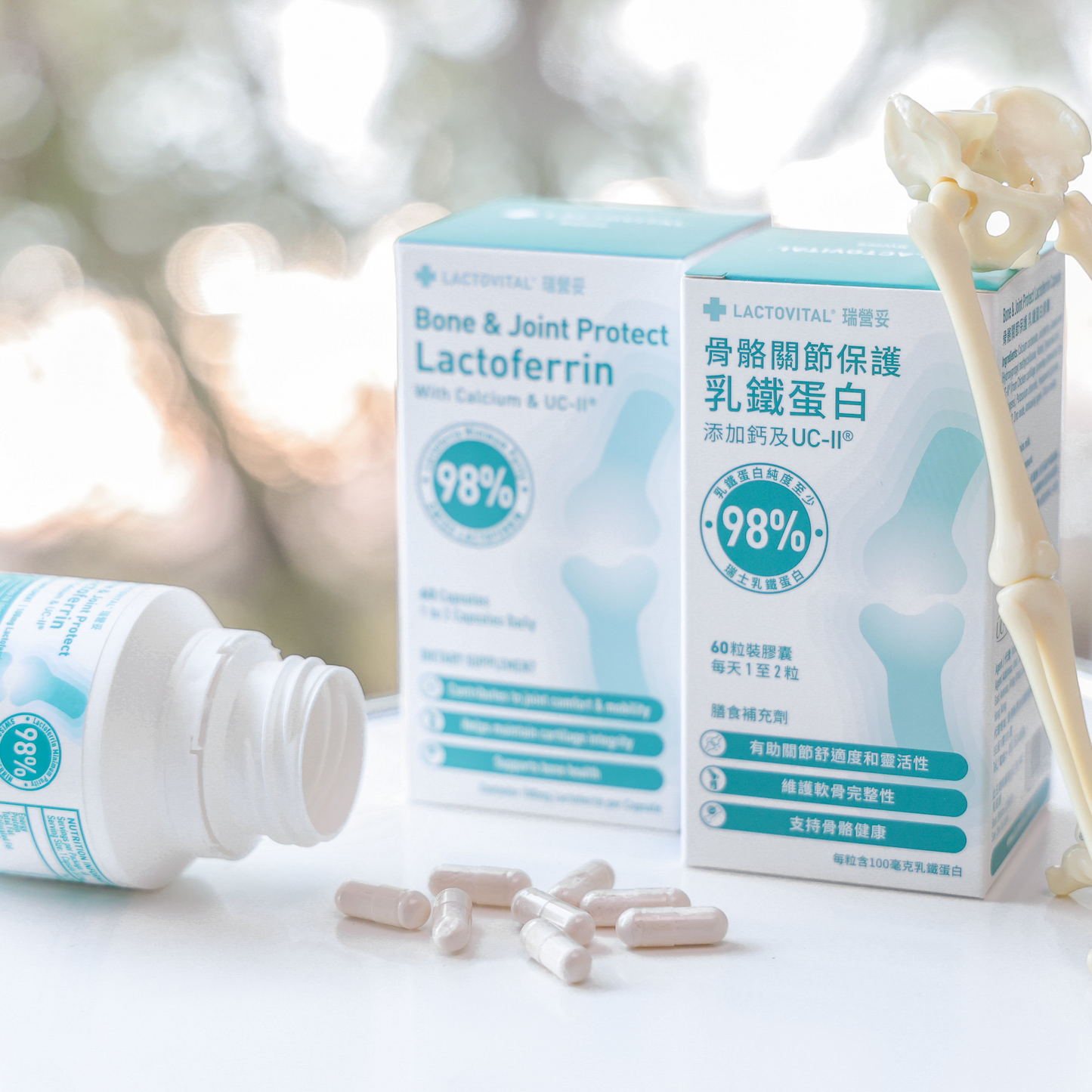 Bone & Joint Support | Lactoferrin, UC-II® & Hyaluronic Acid | 60 capsules