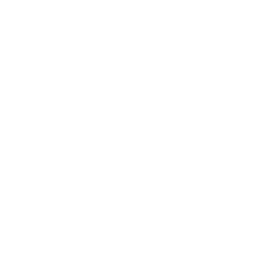 Lactovital Bone & Joint Lactoferrin bone health icon