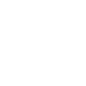 Lactovital Bone & Joint Lactoferrin cartilage icon