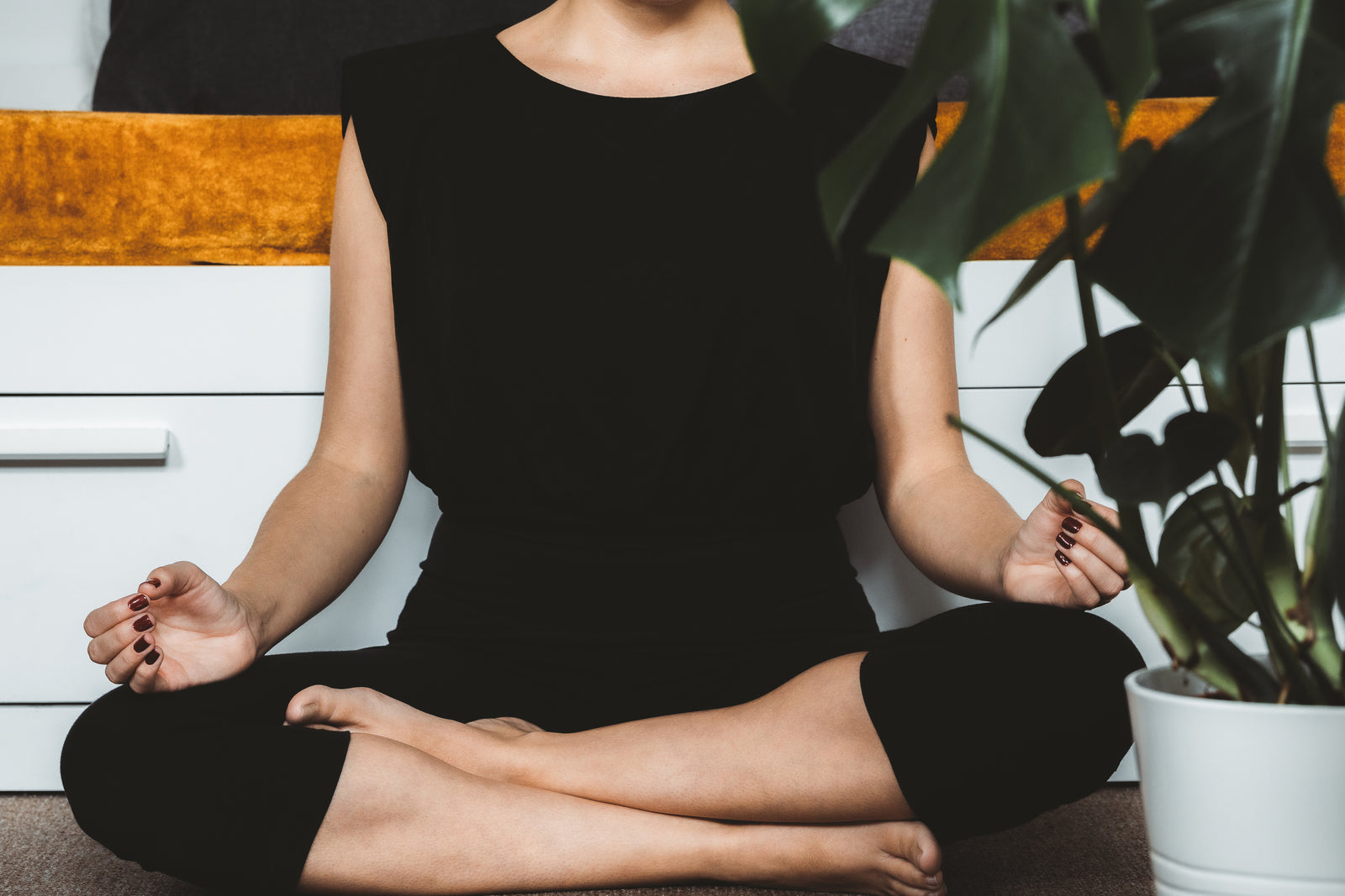 A diverse, balanced gut microbiota helps your immune system stay calm.
