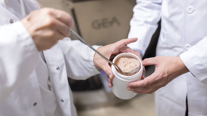 Swissferrin in factory, Lactoferrin powder